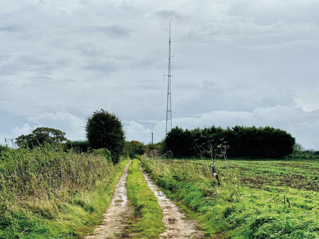 Mast site   view 1