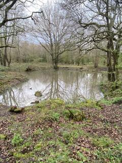 Farm land for sale, Land Lying North Side Of Hale Oak Road, Chiddingstone, Edenbridge, Kent