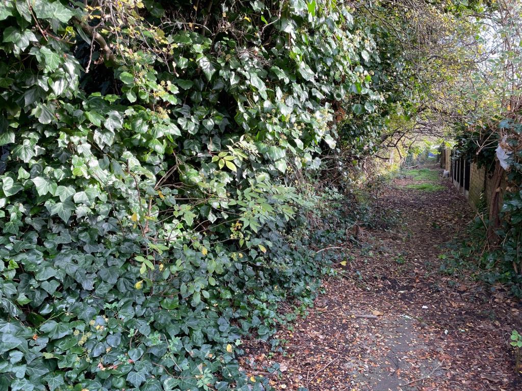 View along the pathway back towards Linley Crescen