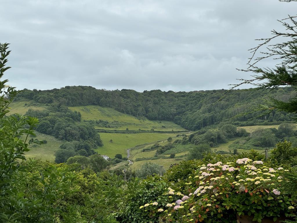 View of the countryside from the rear