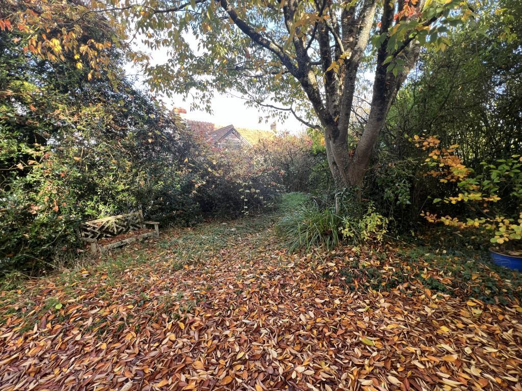 General view of part of the garden