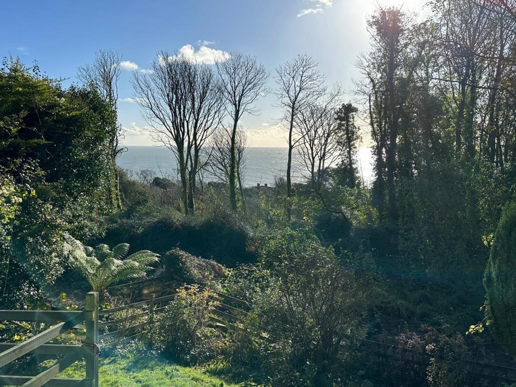 View from the rear of the property