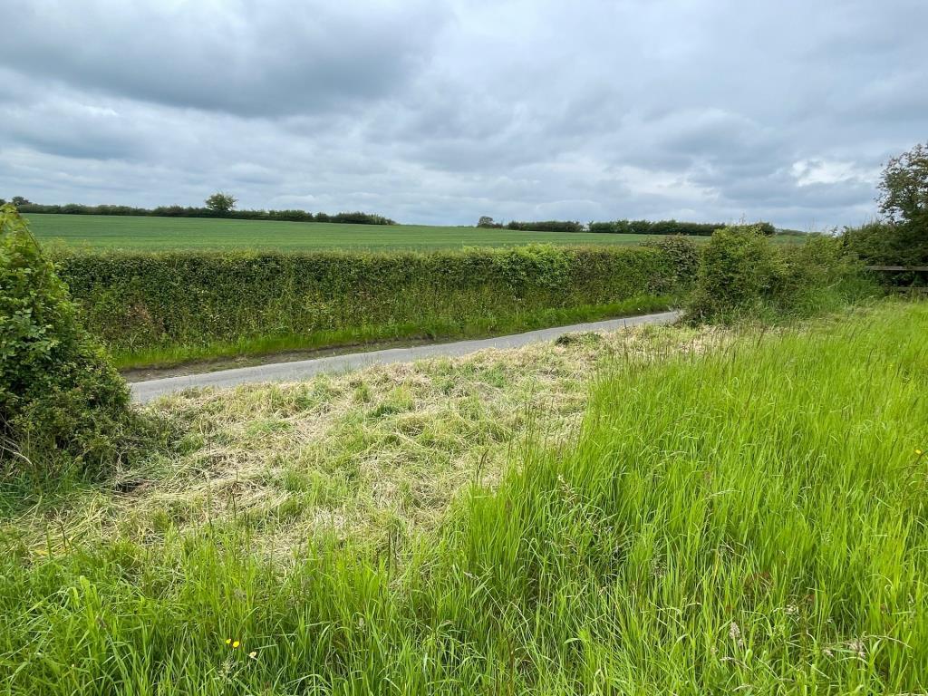 View from the land looking down to the road