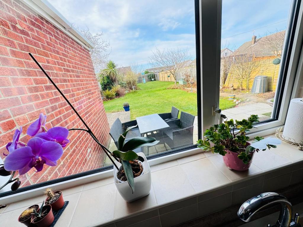 View from kitchen