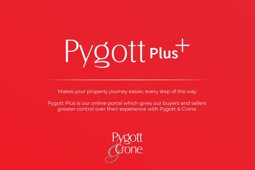 Pygott plus