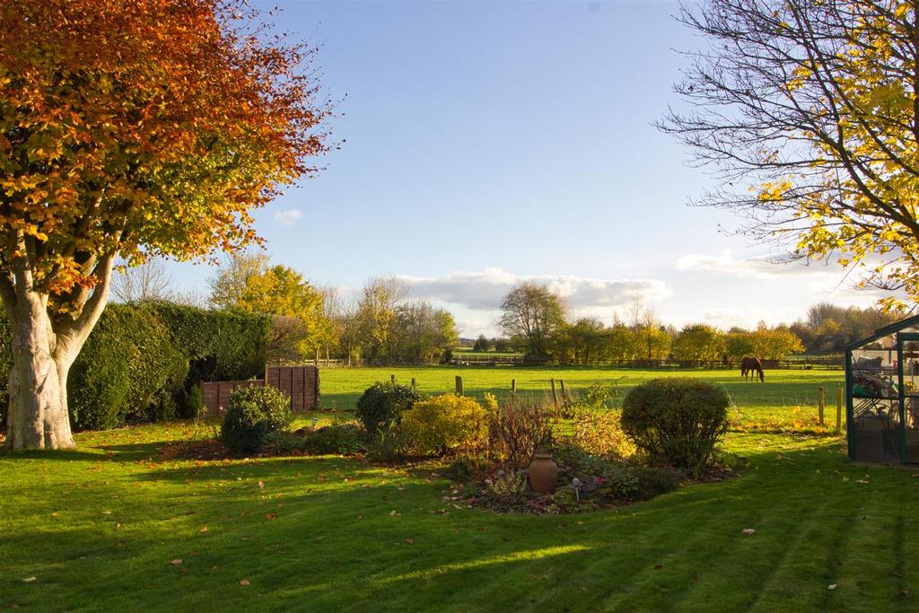 Rear garden view