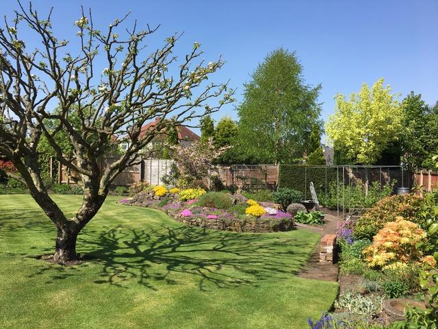 Image 27