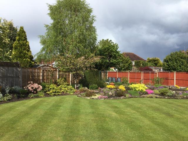 Image 29