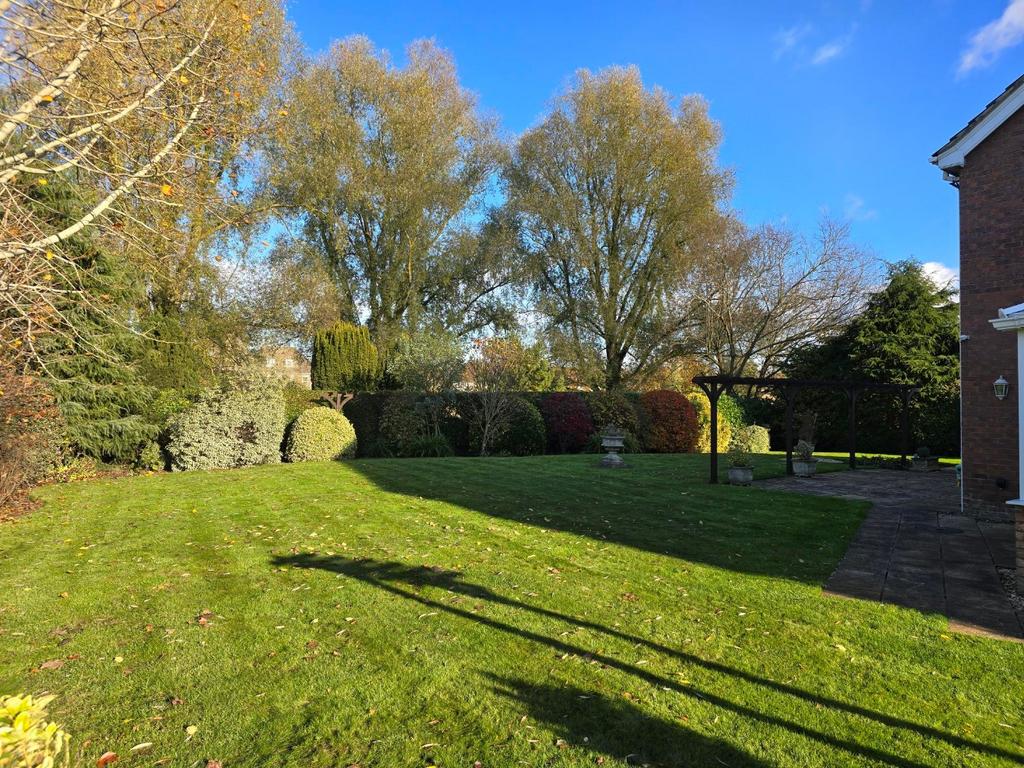 Media image 06