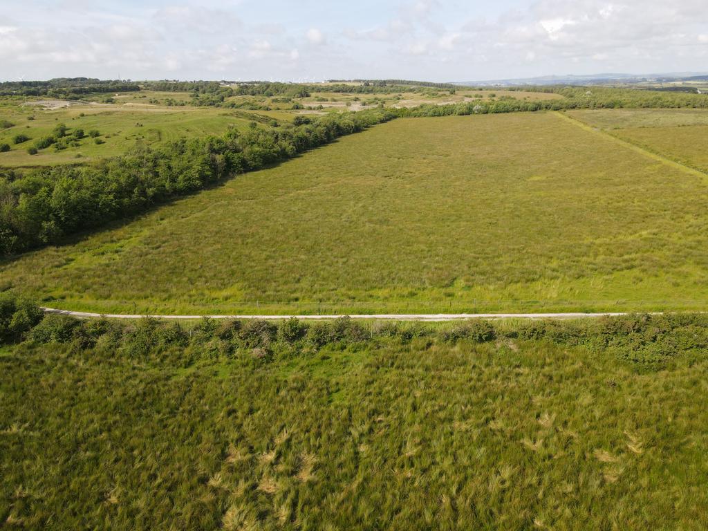 30 Acre Grazing Land