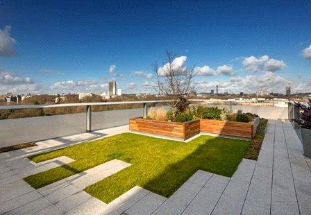 Roof Terrace