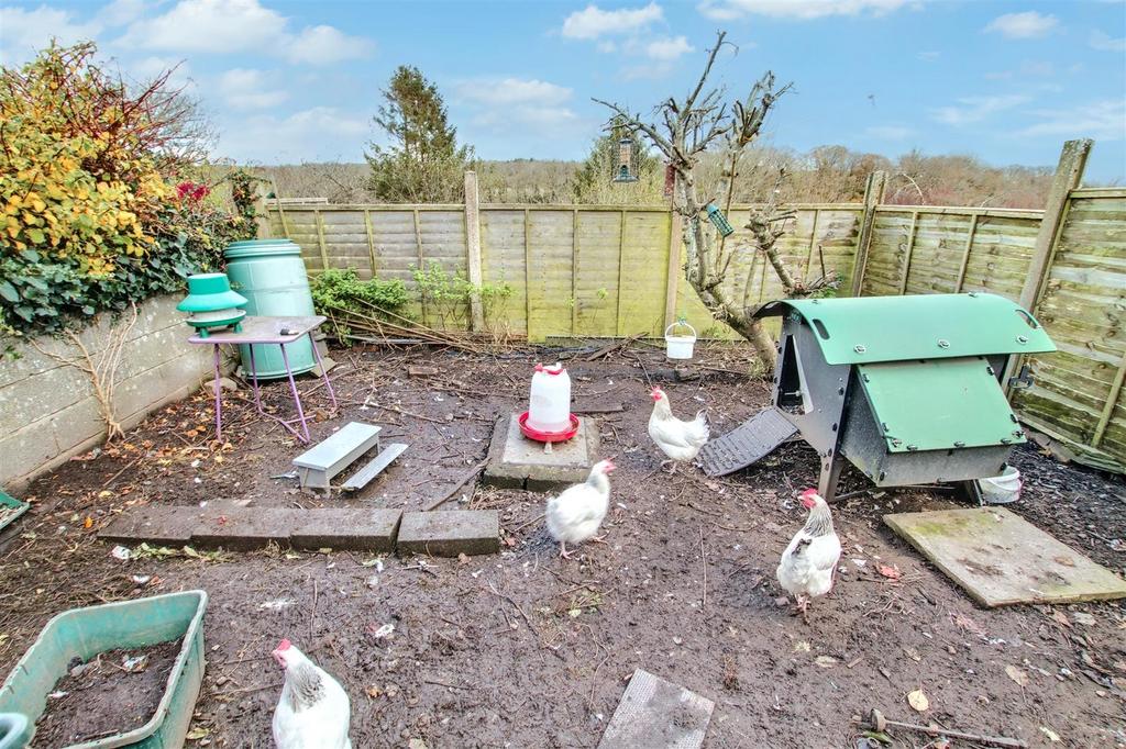 Rear garden &amp; Chicken Run