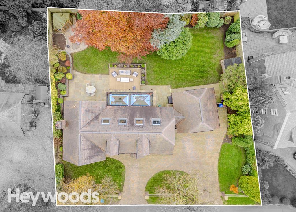 20241109-DJI 0096-Enhanced-SR - Copy