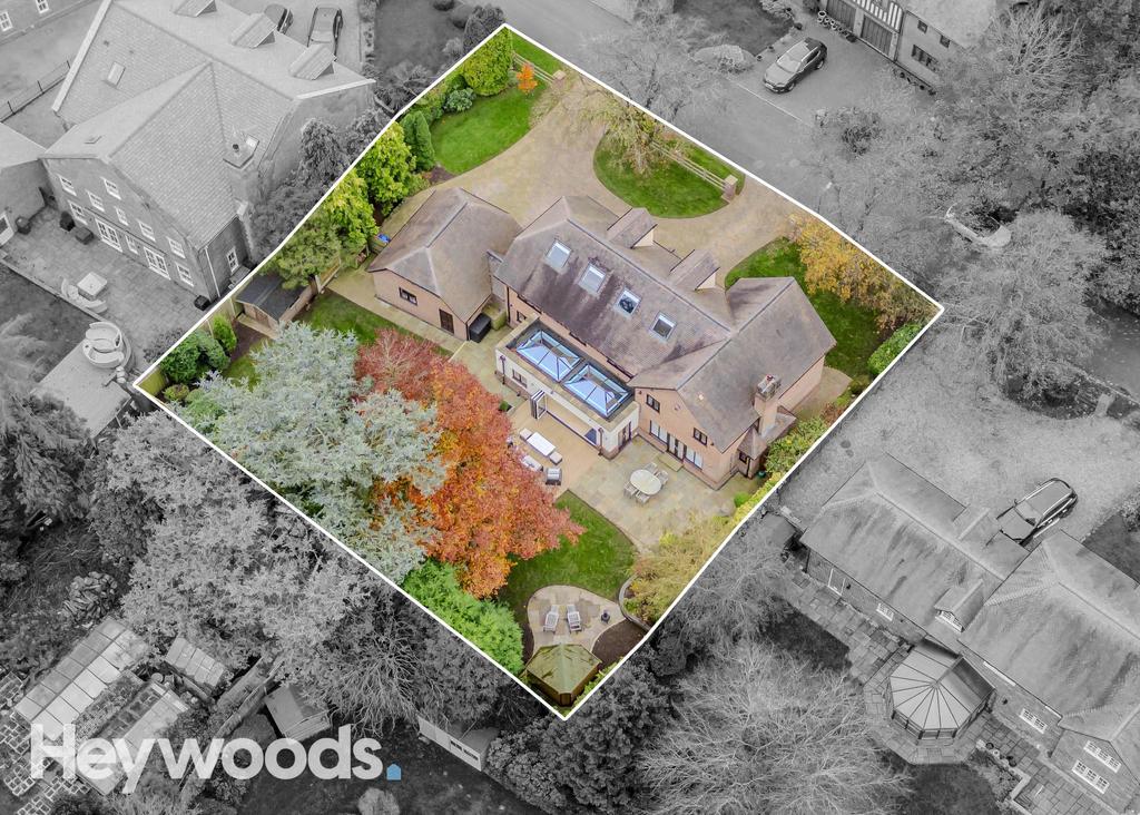 20241109-DJI 0099-Enhanced-SR - Copy