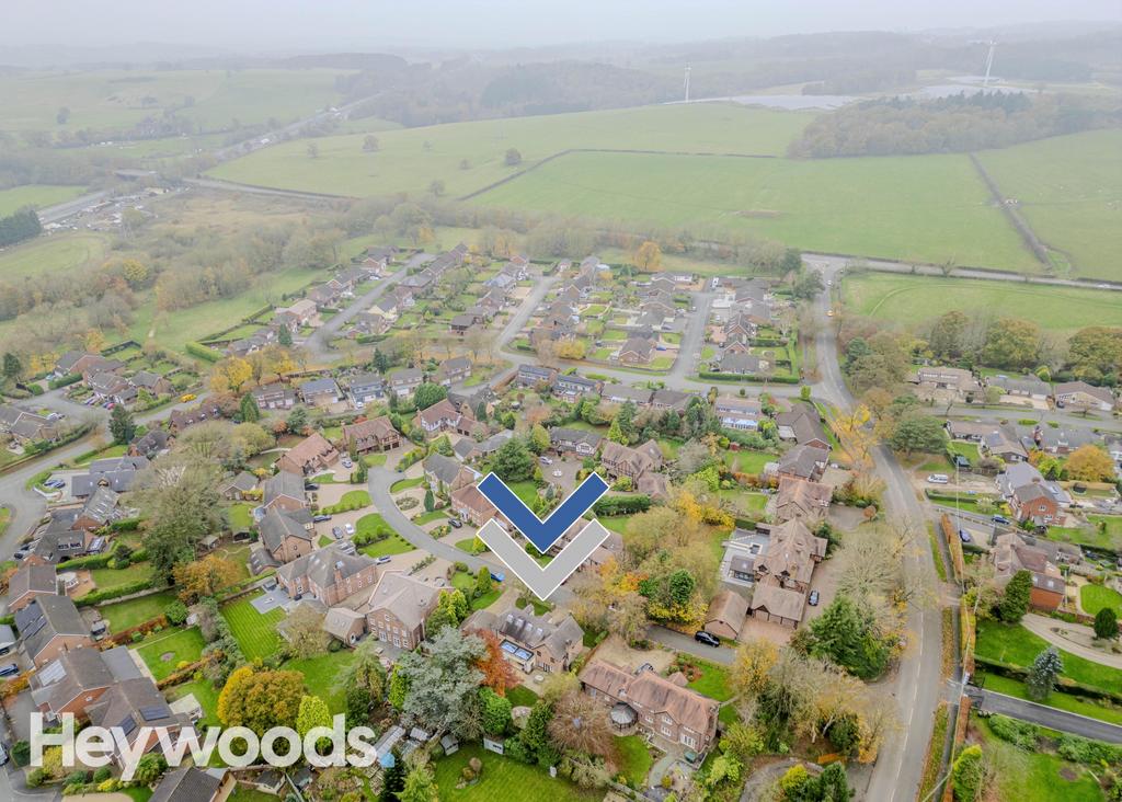 20241109-DJI 0100-Enhanced-SR - Copy