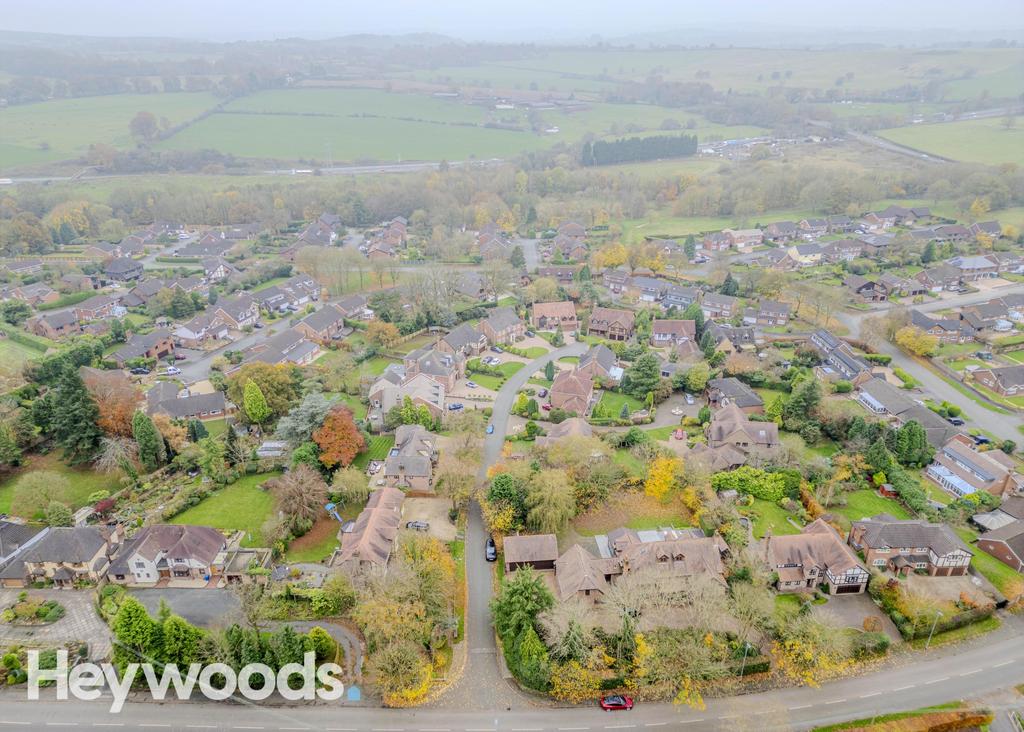 20241109-DJI 0101-Enhanced-SR