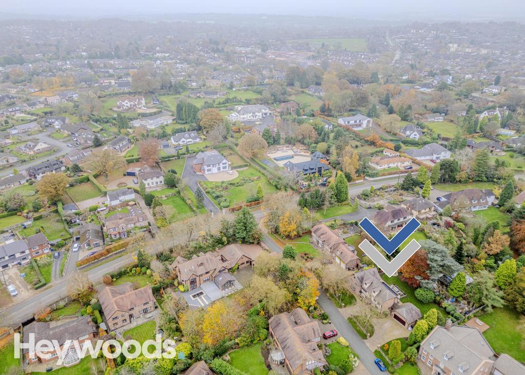 20241109-DJI 0104-Enhanced-SR - Copy