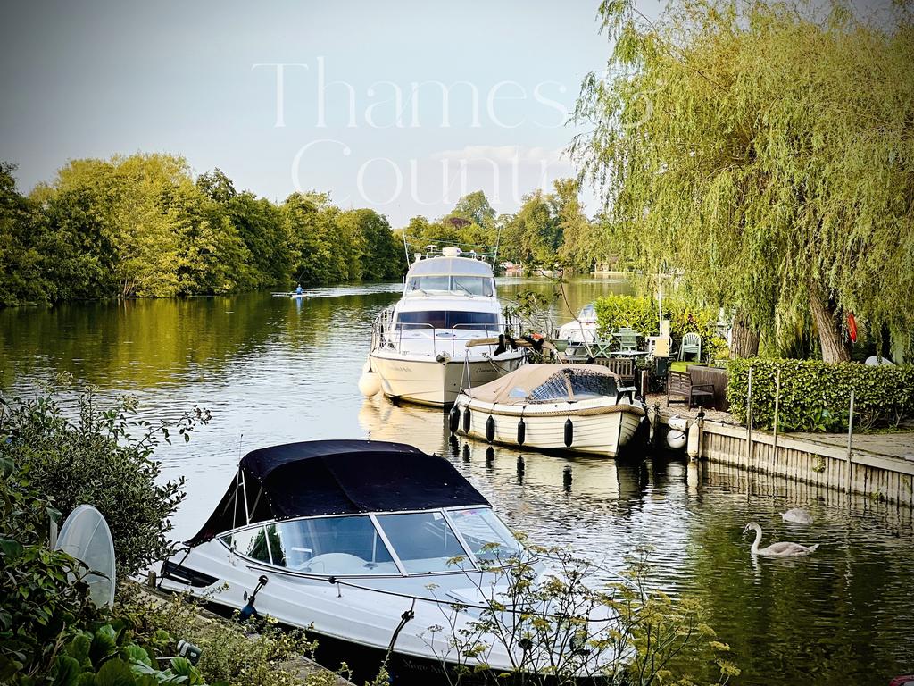 The River Thames view