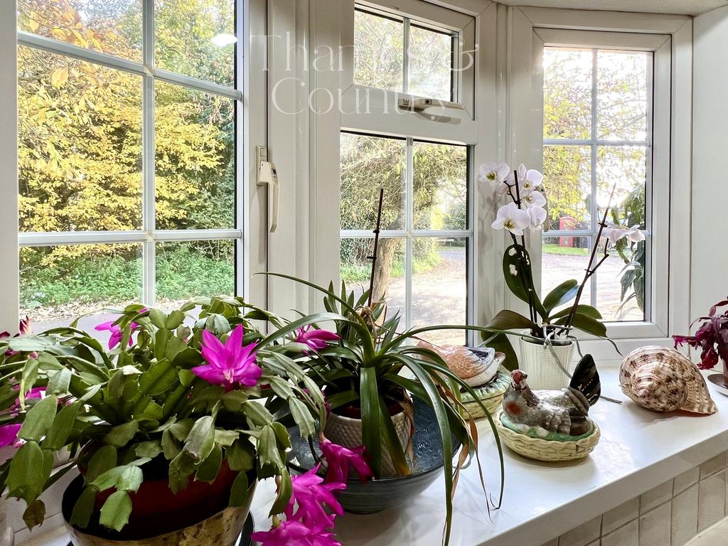 Kitchen view