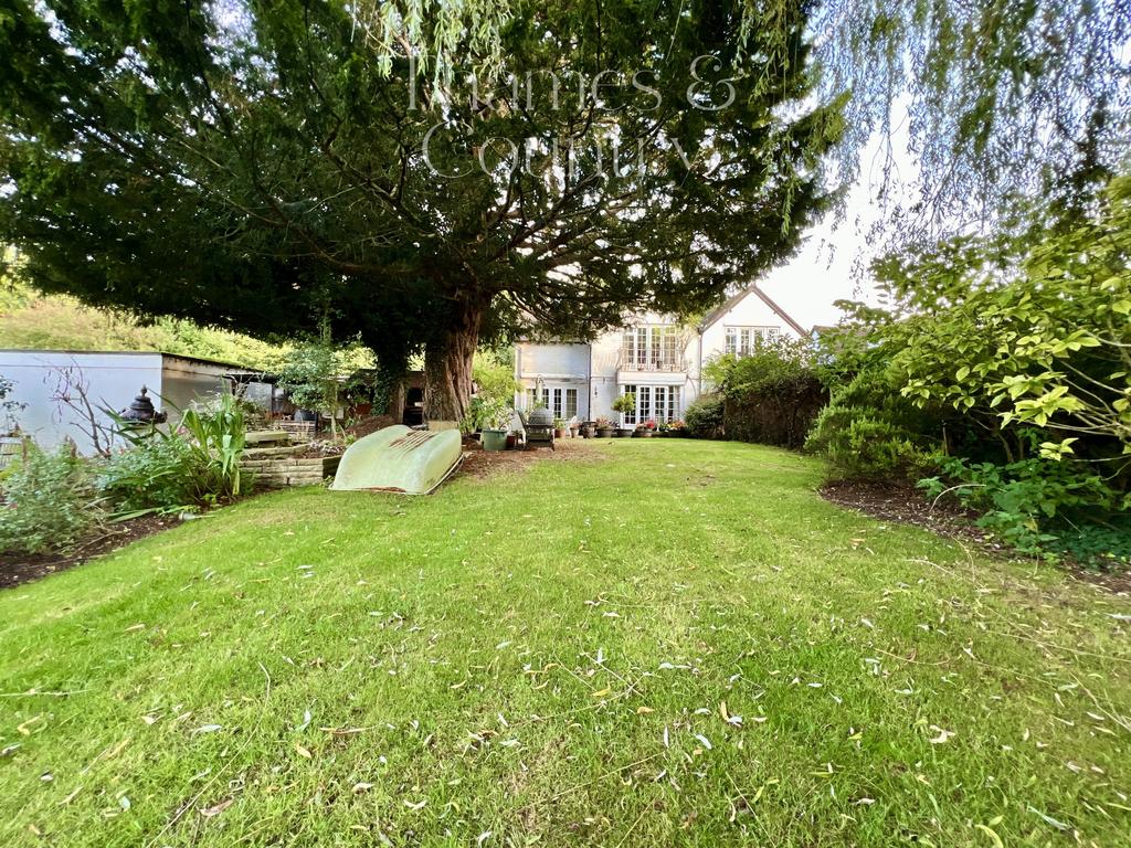 Back Garden