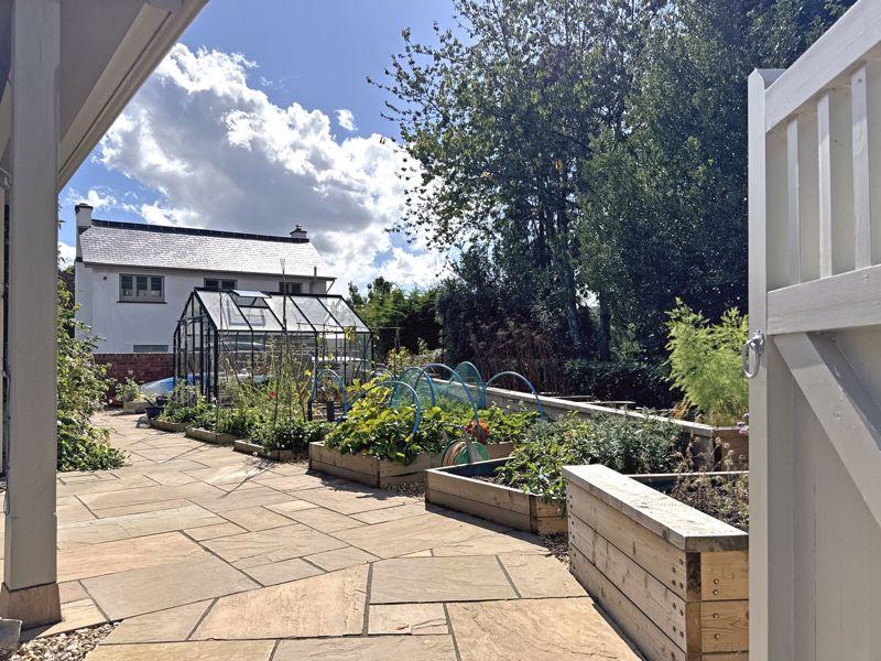 Vegetable Garden