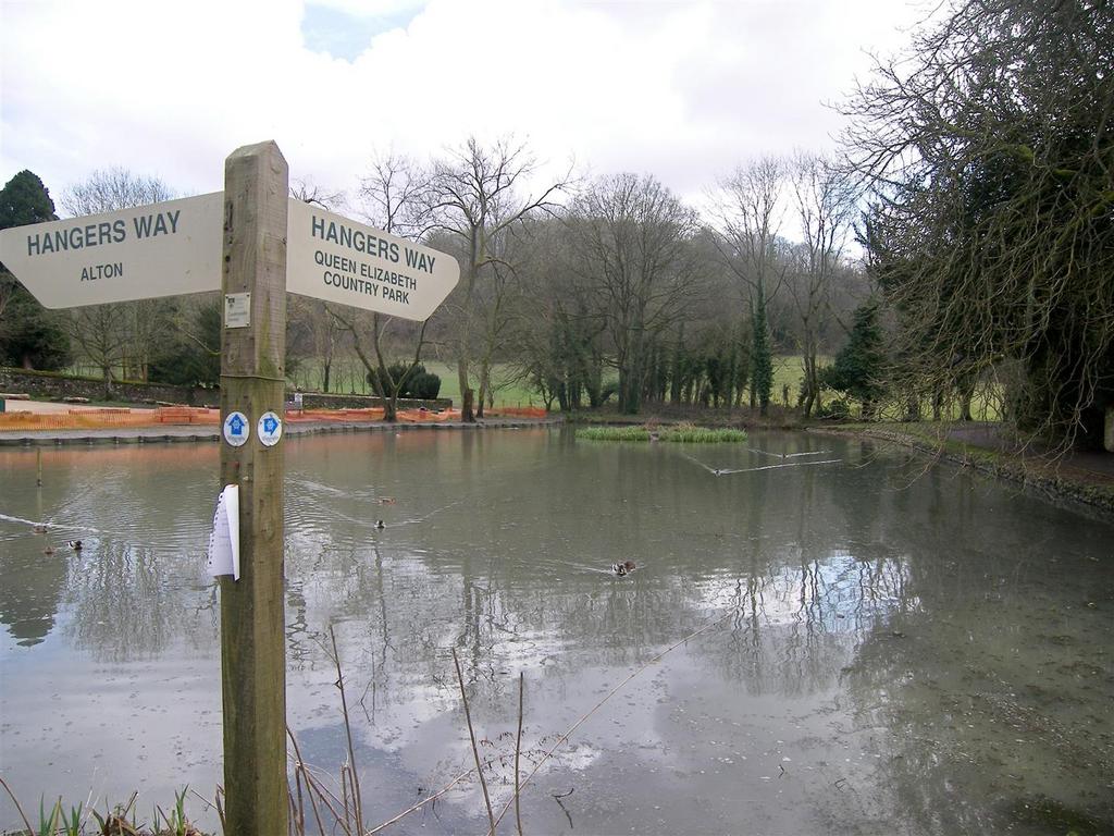 Village Pond