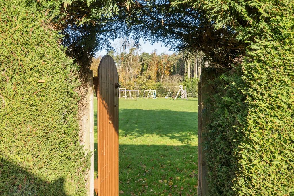 Rear Gate