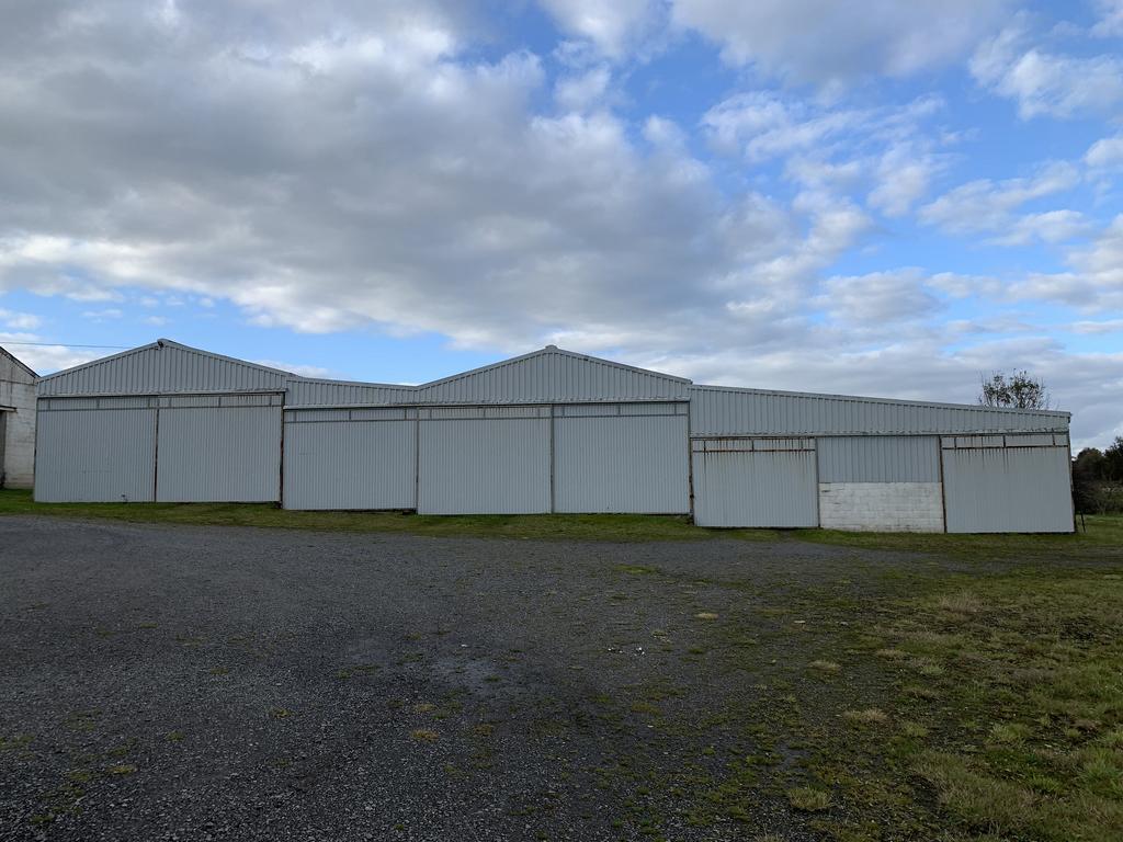 Cattle sheds