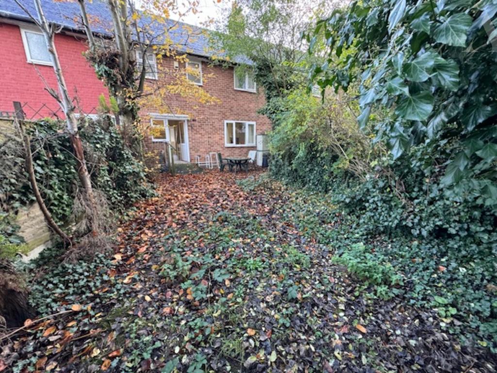 8 Kempson Road garden x 2