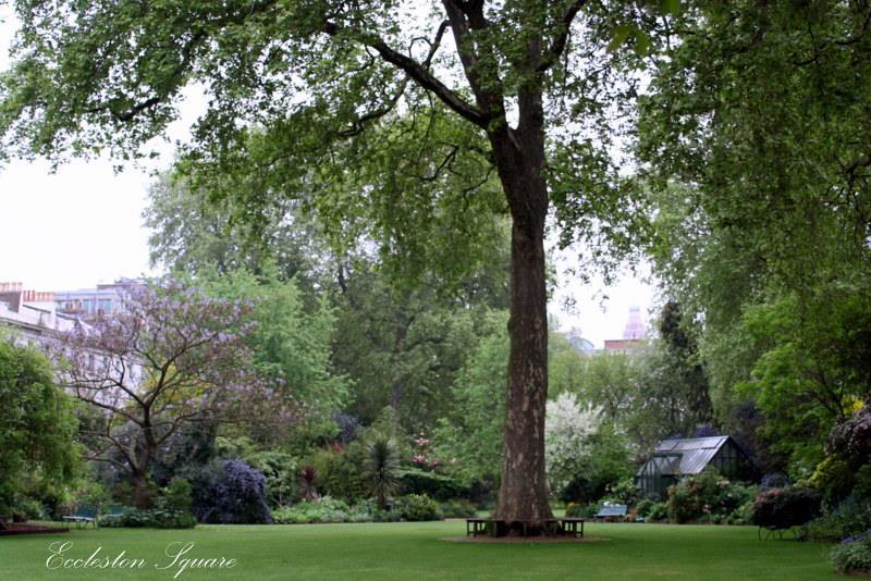 Eccleston Square Gardens.jpg