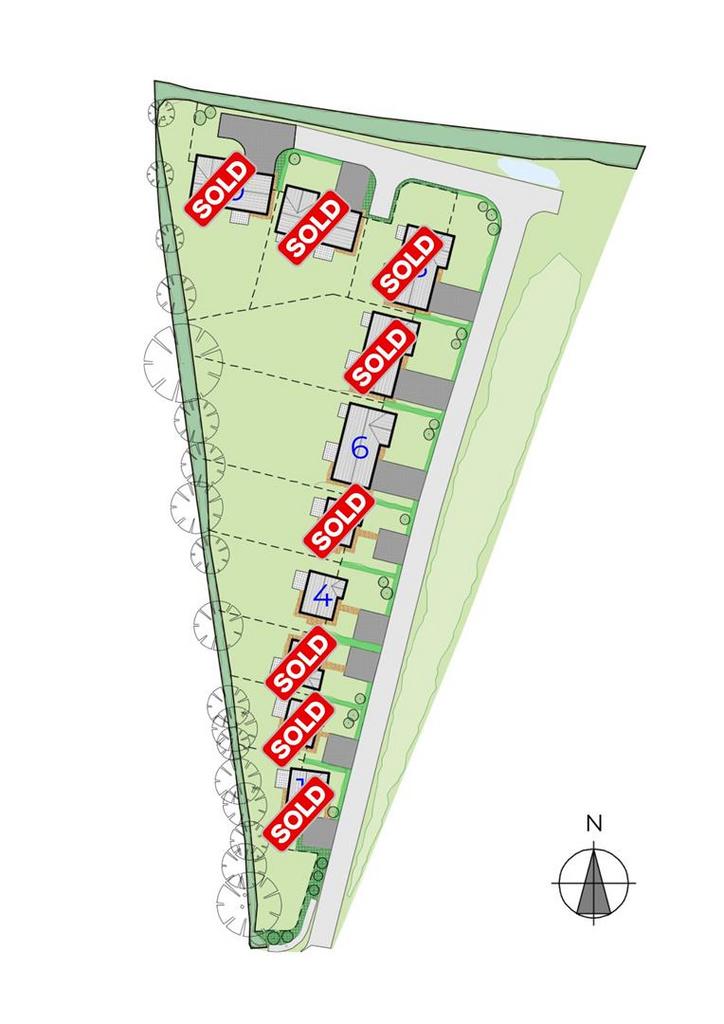 Site Layout