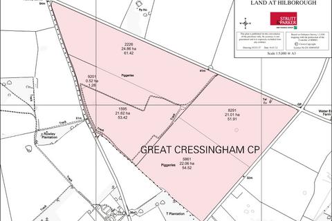 Land for sale, Swaffham Road, Hilborough, Nr Swaffham, Norfolk