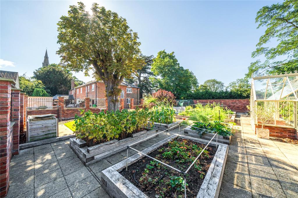 Vegetable Plot