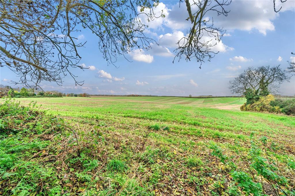 Views Over Fields