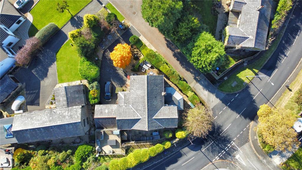 Aerial Image