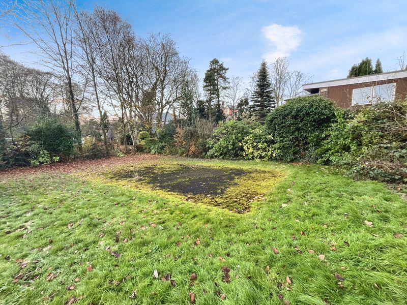 Back garden