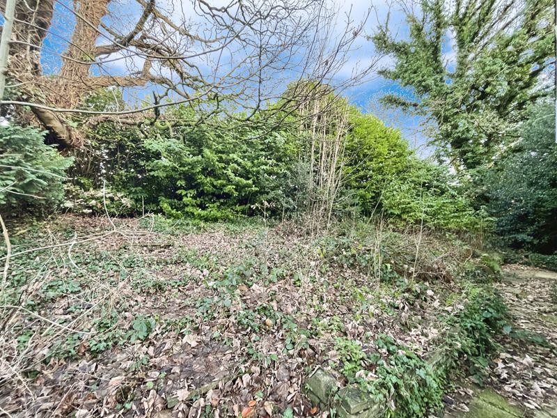 Front garden