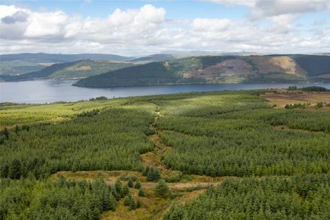 Land for sale, St. Catherines Forest, Cairndow, Cowal Peninsula, Argyll & Bute, PA25