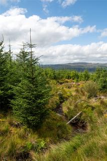 Land for sale, St. Catherines Forest, Cairndow, Cowal Peninsula, Argyll & Bute, PA25