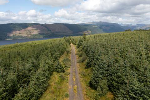 Land for sale, St. Catherines Forest, Cairndow, Cowal Peninsula, Argyll & Bute, PA25