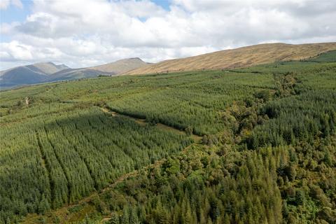 Land for sale, St. Catherines Forest, Cairndow, Cowal Peninsula, Argyll & Bute, PA25