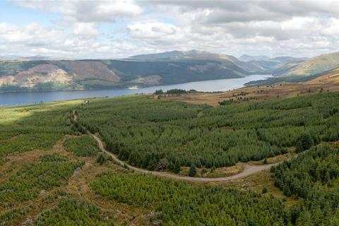 Land for sale, St. Catherines Forest, Cairndow, Cowal Peninsula, Argyll & Bute, PA25