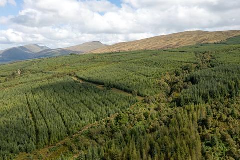 undefined, St. Catherines Forest, Cairndow, Cowal Peninsula, Argyll & Bute, PA25