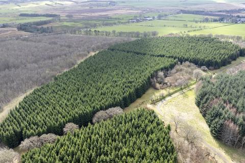 Land for sale, Drumbeg Woodland, Blackridge, West Lothian, EH48