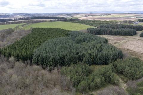 Land for sale, Drumbeg Woodland, Blackridge, West Lothian, EH48