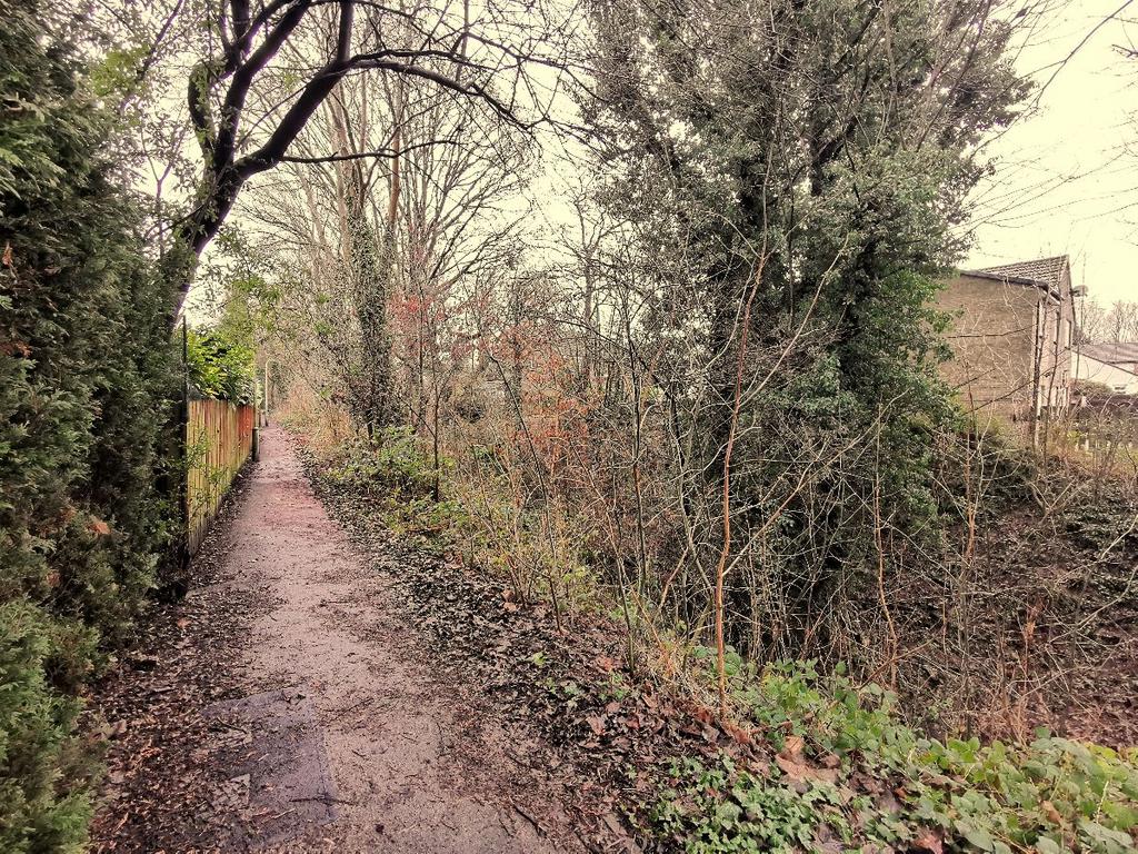 Park