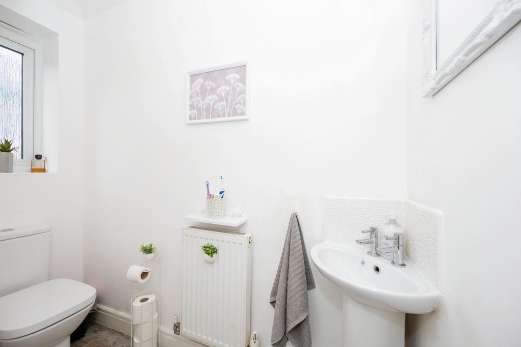 Photography