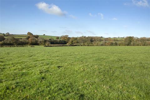 Land for sale, Northlew, Devon EX20