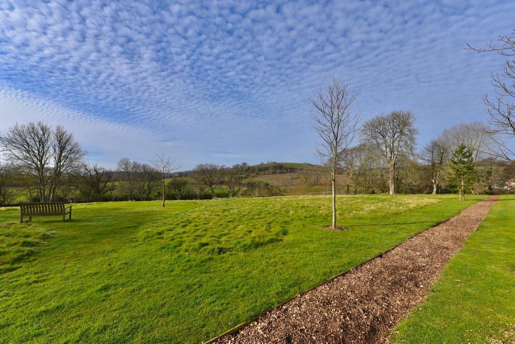 The Grounds
