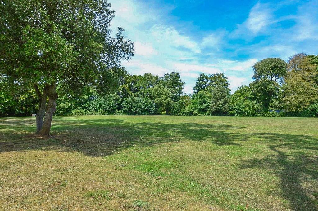 The Grounds